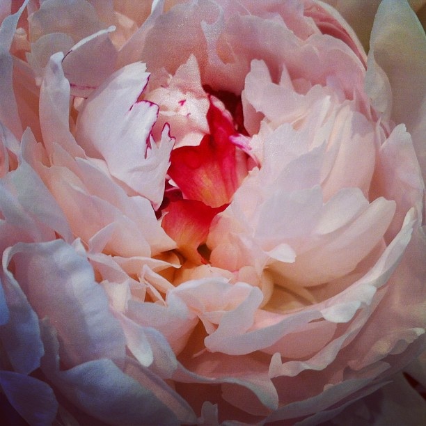 Photo courtesy of Julie M Daley